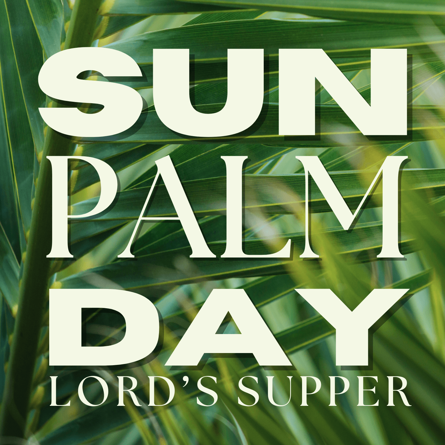 Palm Sunday and the Lord’s Supper